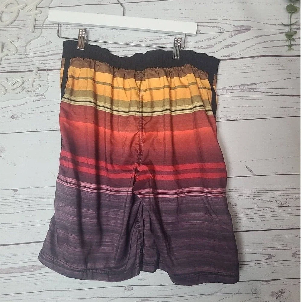 Speedo Horizon Ombre Multicolor‎ Water Board Short Men's Size Medium